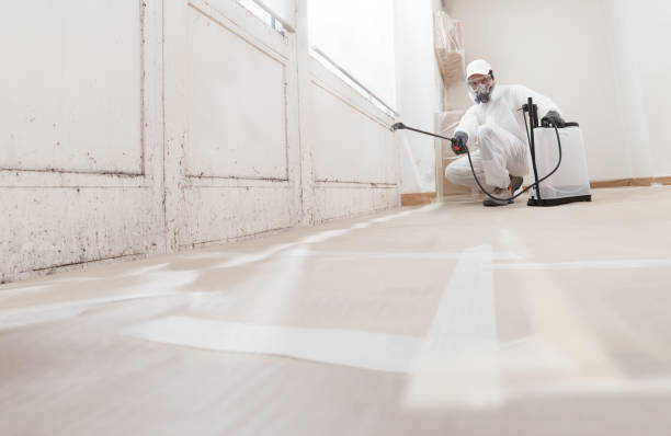 24/7 Emergency Attic Mold Remediation experts in Highland Park, TX